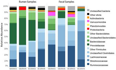 Effects of grain-based diets on the rumen and fecal bacterial communities of the North American bison (Bison bison)